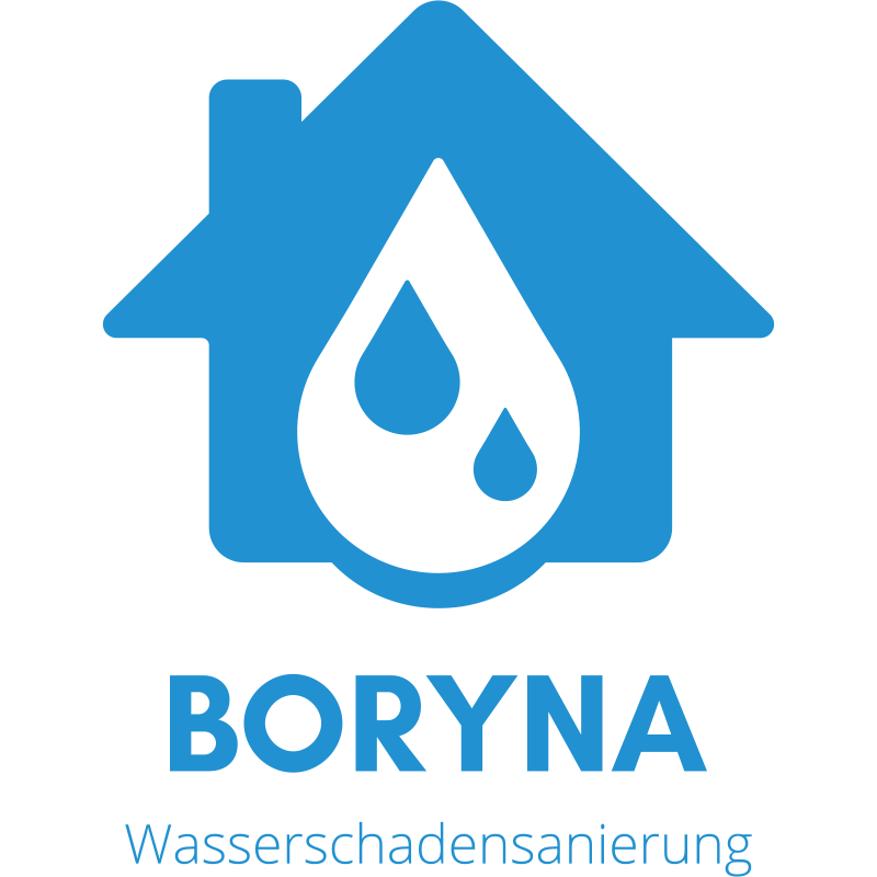 BORYNA Logo