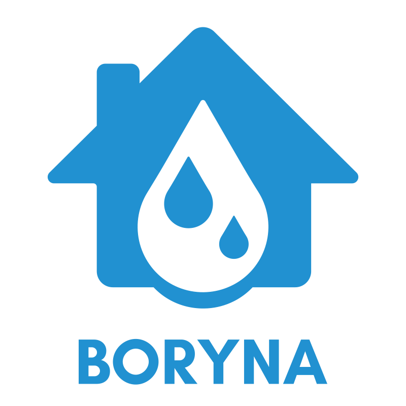 BORYNA